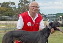 Greyhounds: Halliday sinks the boots in