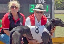 Hounds: Blazing Moment returns to where it all began