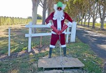 Stuffed Santas sighted