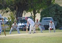 MGDCA: Demons under fire at the crease