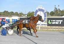Trots: Drought broken for Millard