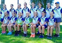 Tennis: Lower South East reclaims crown