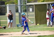 Softball: Concordes fail to take flight