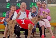 Hounds: Happy days at greyhound track