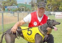 Hounds: Christmas to come early for Crawley