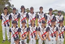 Cricket: Mid South East earn promotion with division win