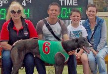 Hounds: Shannah shines on