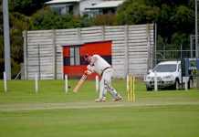 MGDCA: Not the Dogs’ day