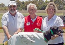 Hounds: Edenhope runner converts 29th start to feature win