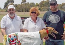 Hounds: Christmas Cup triumph