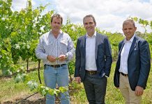 Pledge bypassed – Marshall uncommitted