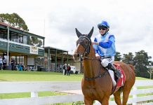 The golden era – Survived claims cup hat-trick