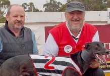 Hounds: Hard yards rewarded