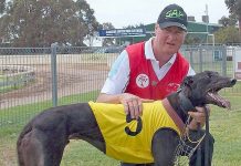 Greyhounds: Zuma Creek stands up for Crawley