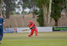 Cricket: Bulldogs finally have their day