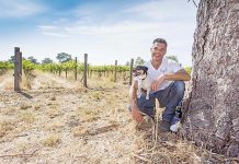 First official organic vineyard in Coonawarra