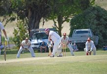 Cricket: Clough looms large ahead of Demons’ clash with Bulldogs