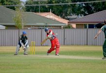 Cricket: Dogs go hungry