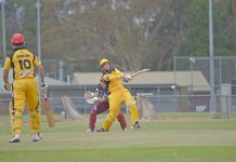 Cricket: North bounces back in style