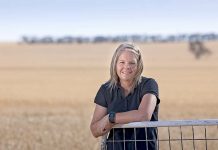 Heavy rainfall to impact crop