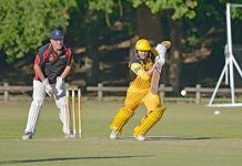 Cricket: North wastes no time to claim T20 victory