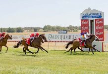 Gallops: Miss Joolia ages well