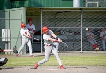 Baseball: South still safe
