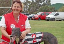 Hounds: Top three finish secures season title for Fiorelli Rose