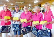 Bowls: Women team up for Lower South East tournament