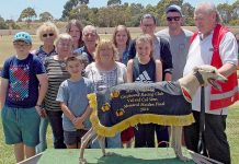 Greyhounds: Mortlake trainer collects first feature win in decades