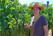 Experienced winemaker departs region