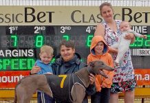 Greyhounds: Blake brothers given plenty to celebrate