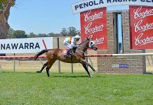 Gallops: Mare makes own luck