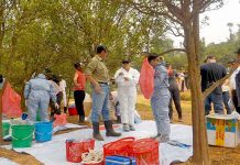 Biosecurity Plan practices