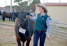 Rural recognition for Ella