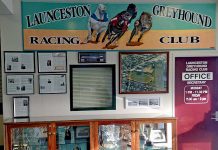 Greyhounds: A window into greyhound history