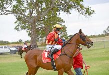 Gallops: Naracoorte race day postponed