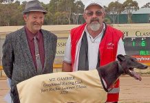 Greyhounds: Classic win for long-time trainer