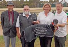Greyhounds: Trainer’s win a real team effort