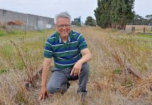 Walking trail windfall