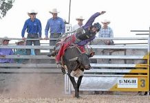 Rodeo: McCaul holds on