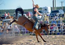 Bucking bulls come out on top