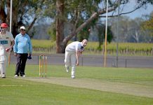 Cricket: Eagles prepare to swoop as Bulldogs’ confidence soars