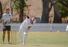 Cricket: Uphill battle for Demons