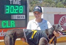 Greyhounds: Price’s big bag the best in months