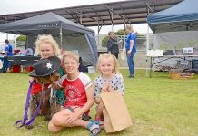 Dogs day out at the Paws Walk