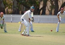 Cricket: Roos take control