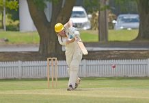 Cricket: North made to work