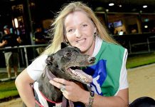 Greyhounds: Back-to-back cup bid