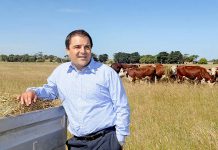 Trade deal beefed up